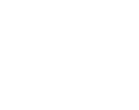 Viking motor shop